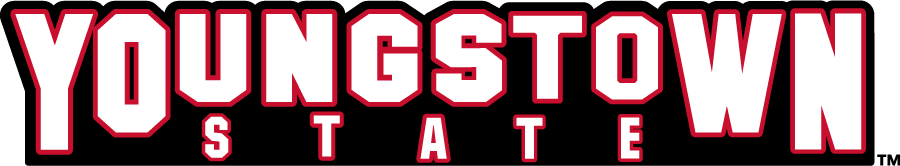 Youngstown State Penguins 2018-Pres Wordmark Logo diy iron on heat transfer